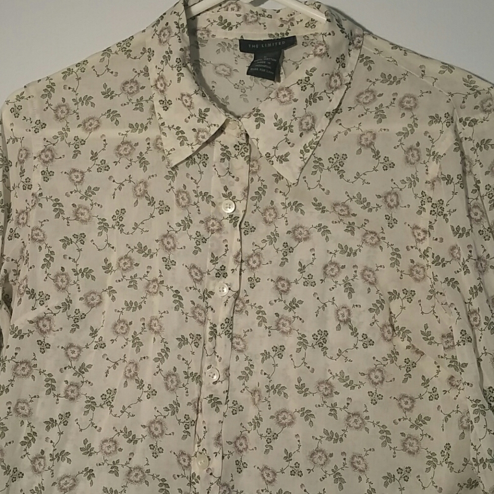 The Limited EUC Sheer Blouse